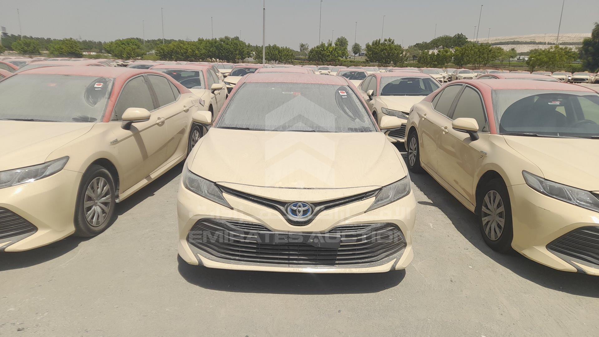 2019 TOYOTA CAMRY VIN: JTNB29HK5K3035546