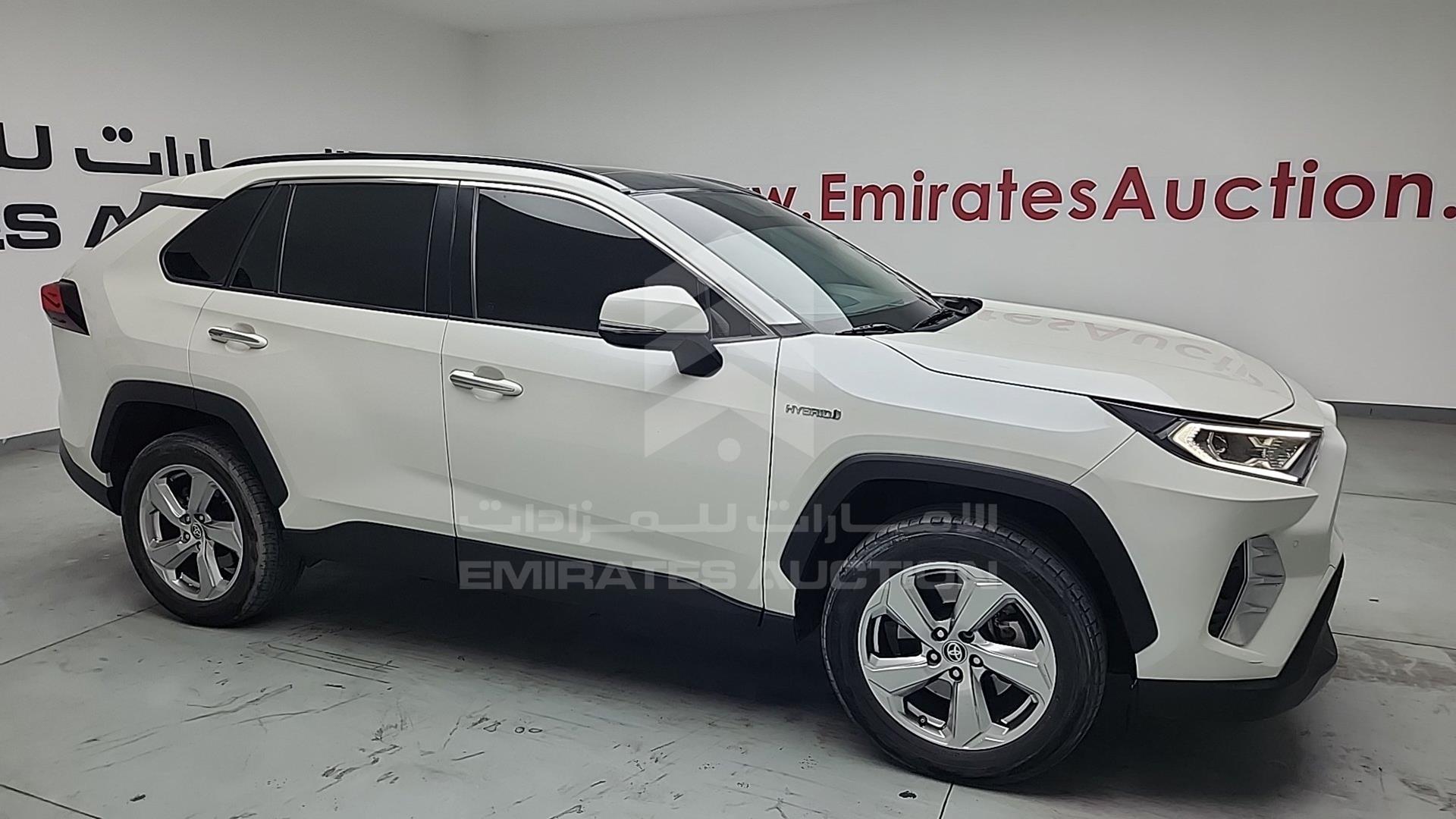 2019 TOYOTA RAV-4 VIN: JTMDW3FV6KD516671