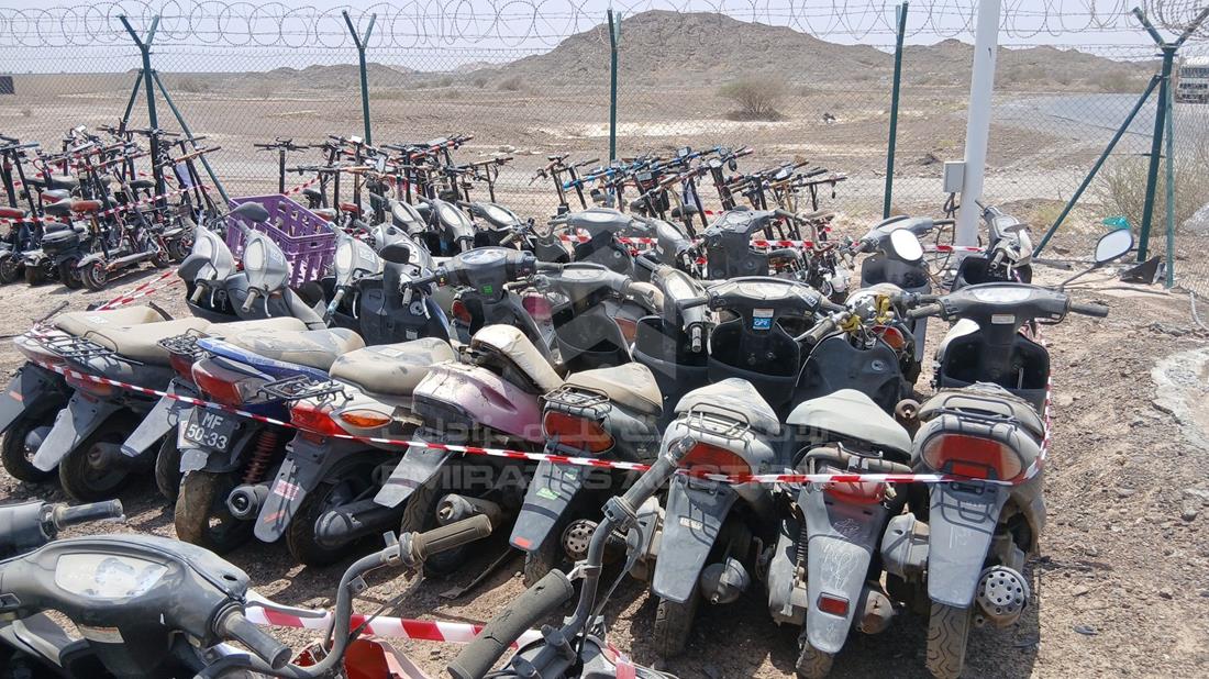 20 Scooter - Scrap without document — Rear View — Photo 6