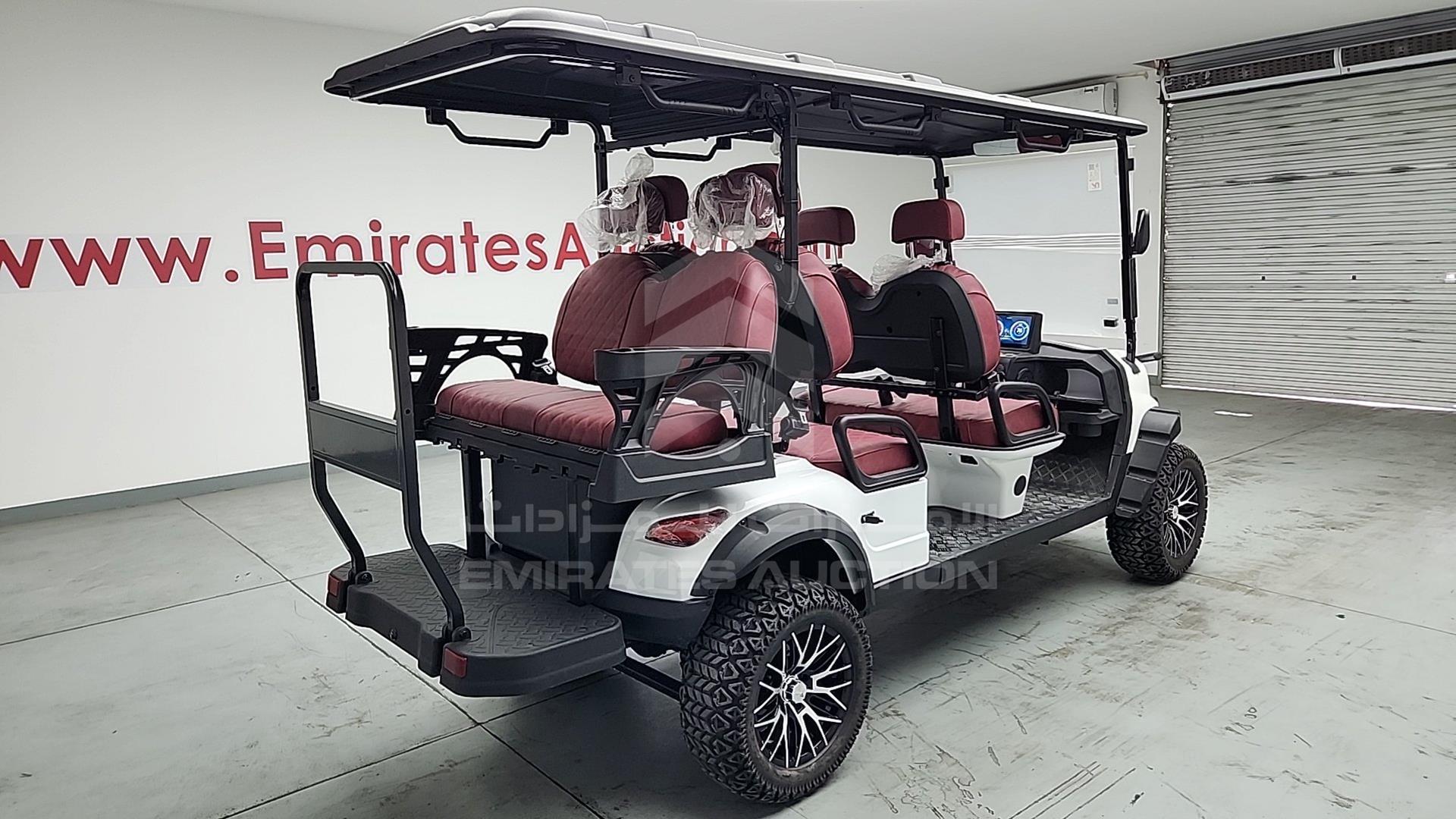 2025 GOLF CART ELECTRIC VIN: ZM24113