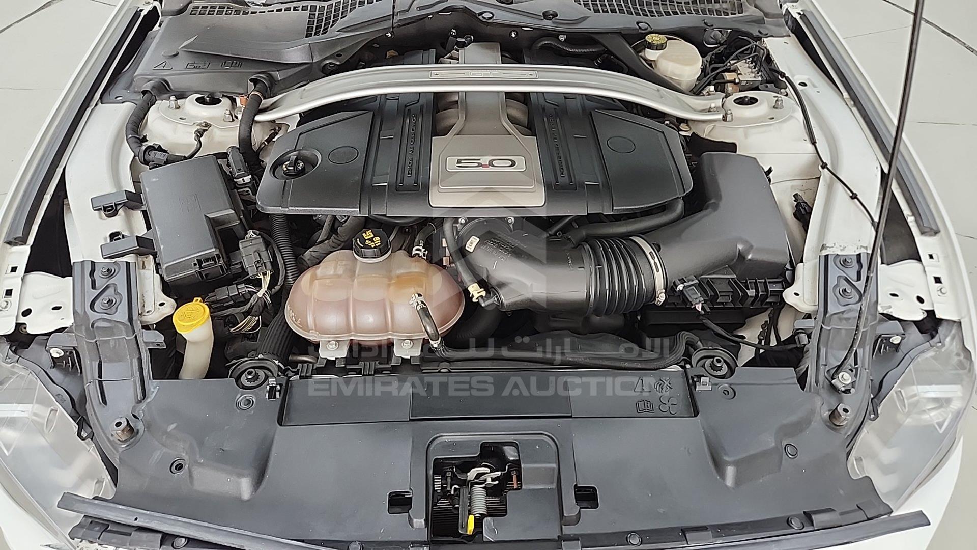 2019 FORD MUSTANG VIN: 1FATP8FFXK5151796