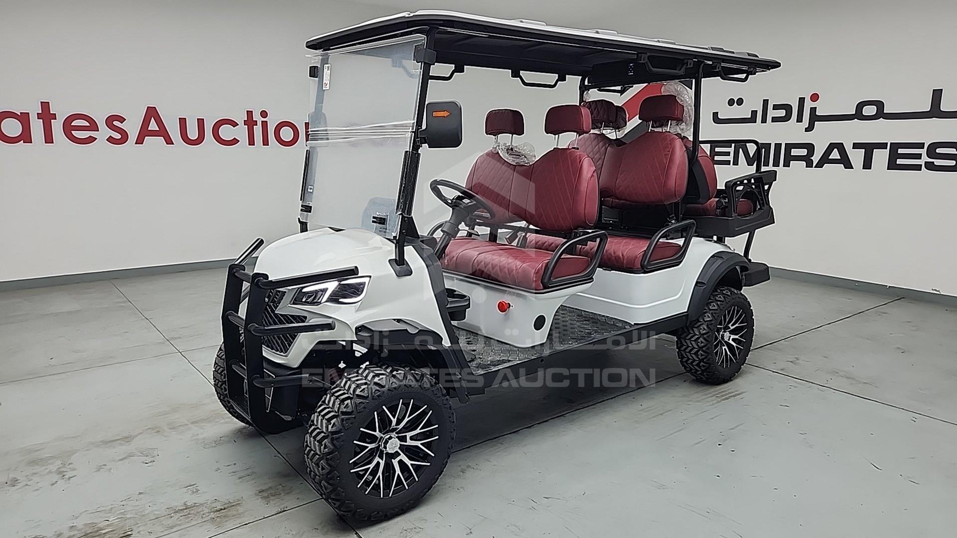 2025 GOLF CART ELECTRIC VIN: ZM24113