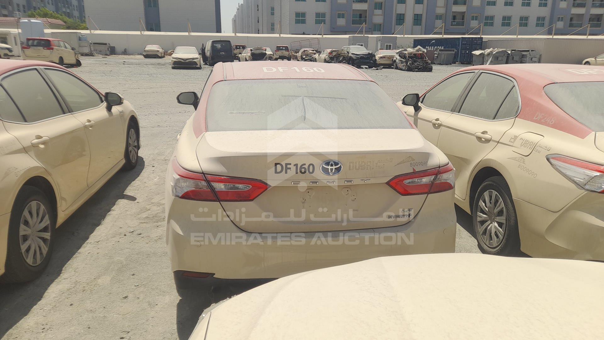2019 TOYOTA CAMRY VIN: JTNB29HK5K3035546