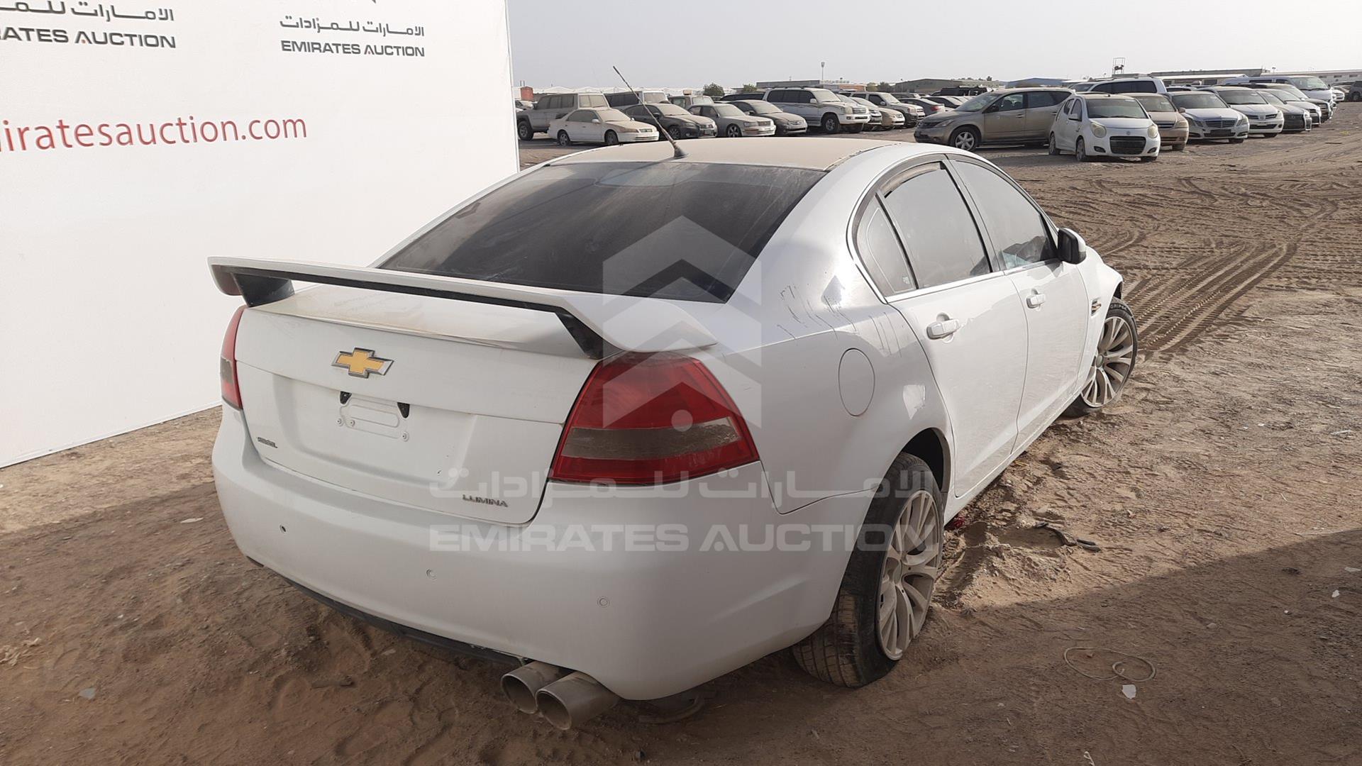 2009 CHEVROLET LUMINA VIN: 6G1EL54B19L237822