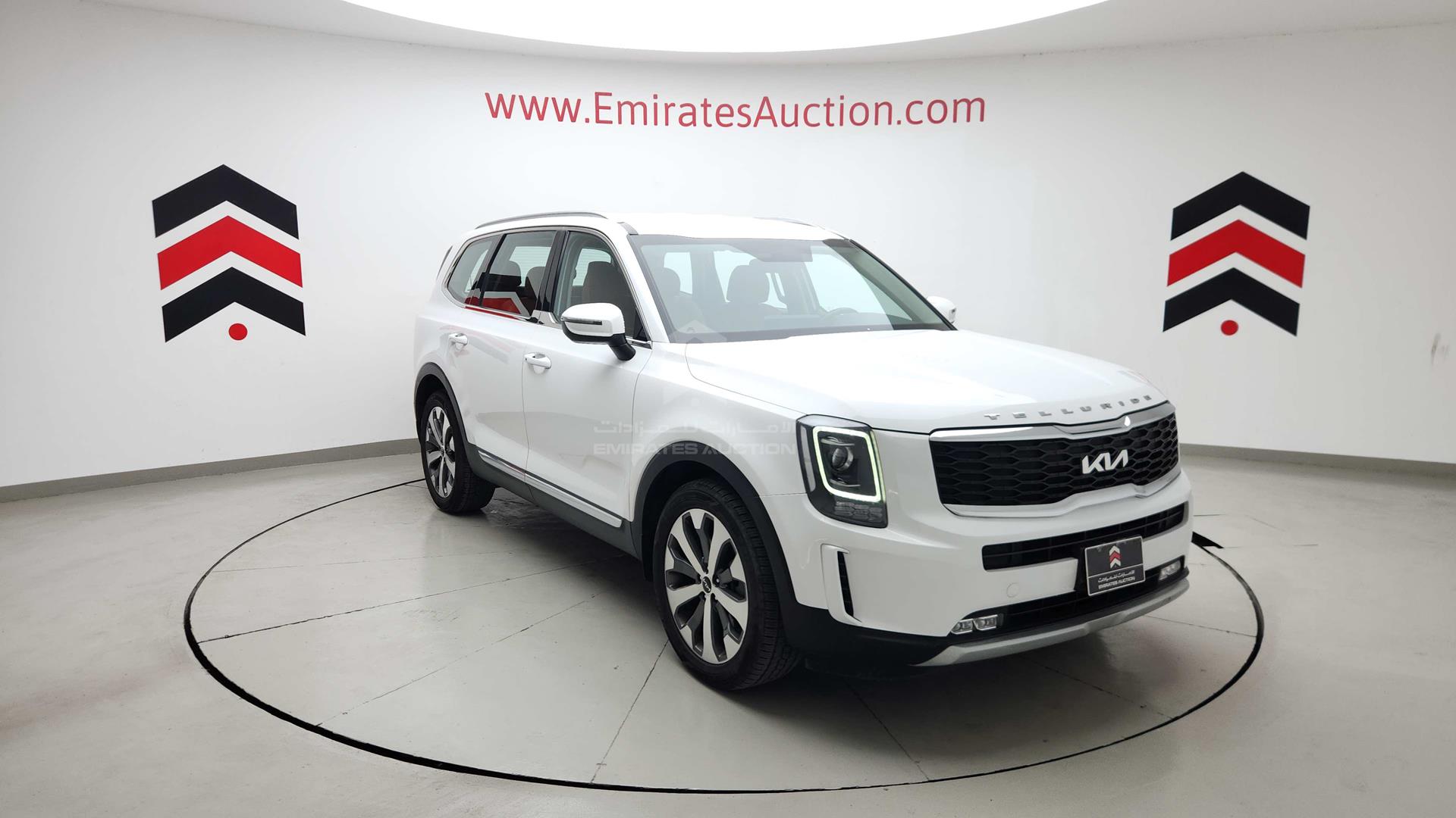 2022 KIA TELLURIDE VIN: 5XXP281C8NG281938