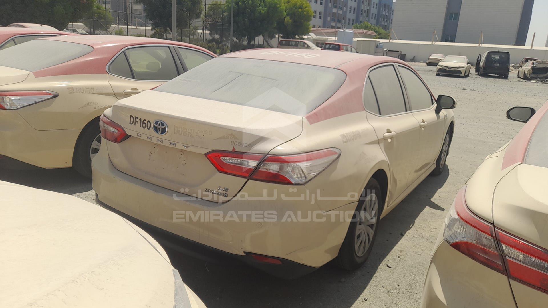 2019 TOYOTA CAMRY VIN: JTNB29HK5K3035546
