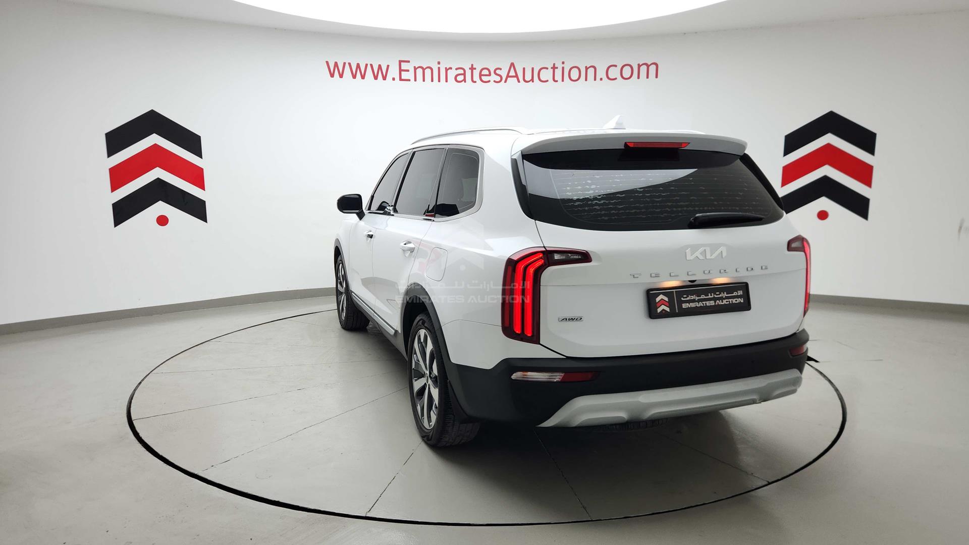2022 KIA TELLURIDE VIN: 5XXP381C7NG232128