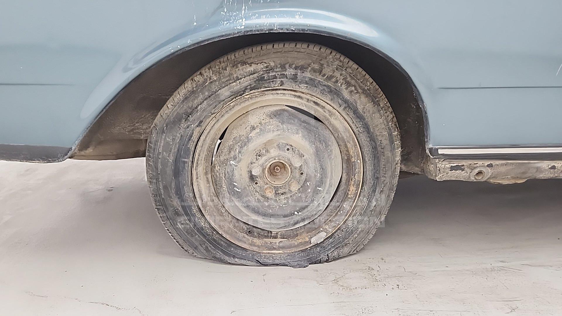 1981 MERCEDES 250 VIN: WDB12302810105896