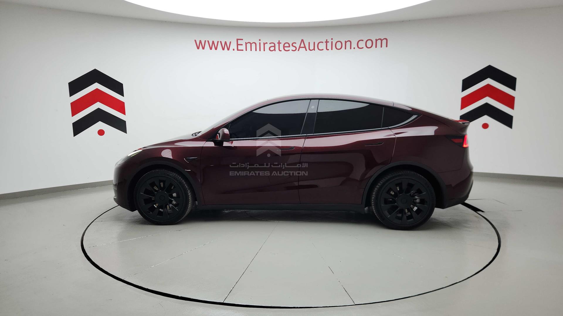 2023 TESLA MODEL Y VIN: XP7YGCEK6PB171355