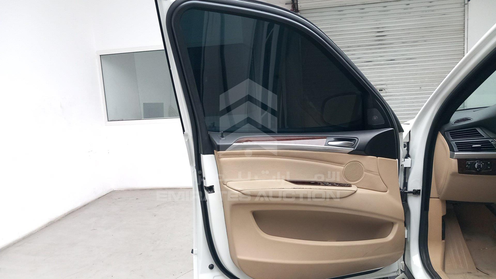 2009 BMW X5 VIN: WBAFE81019L094231