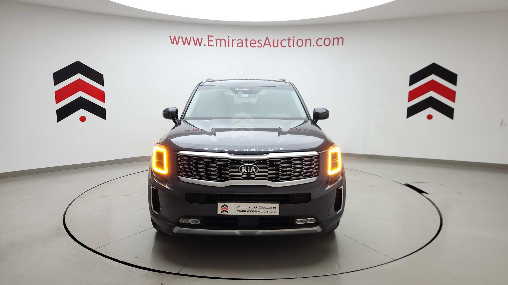 2020 KIA TELLURIDE VIN: 5XYP5DHC5LG086703