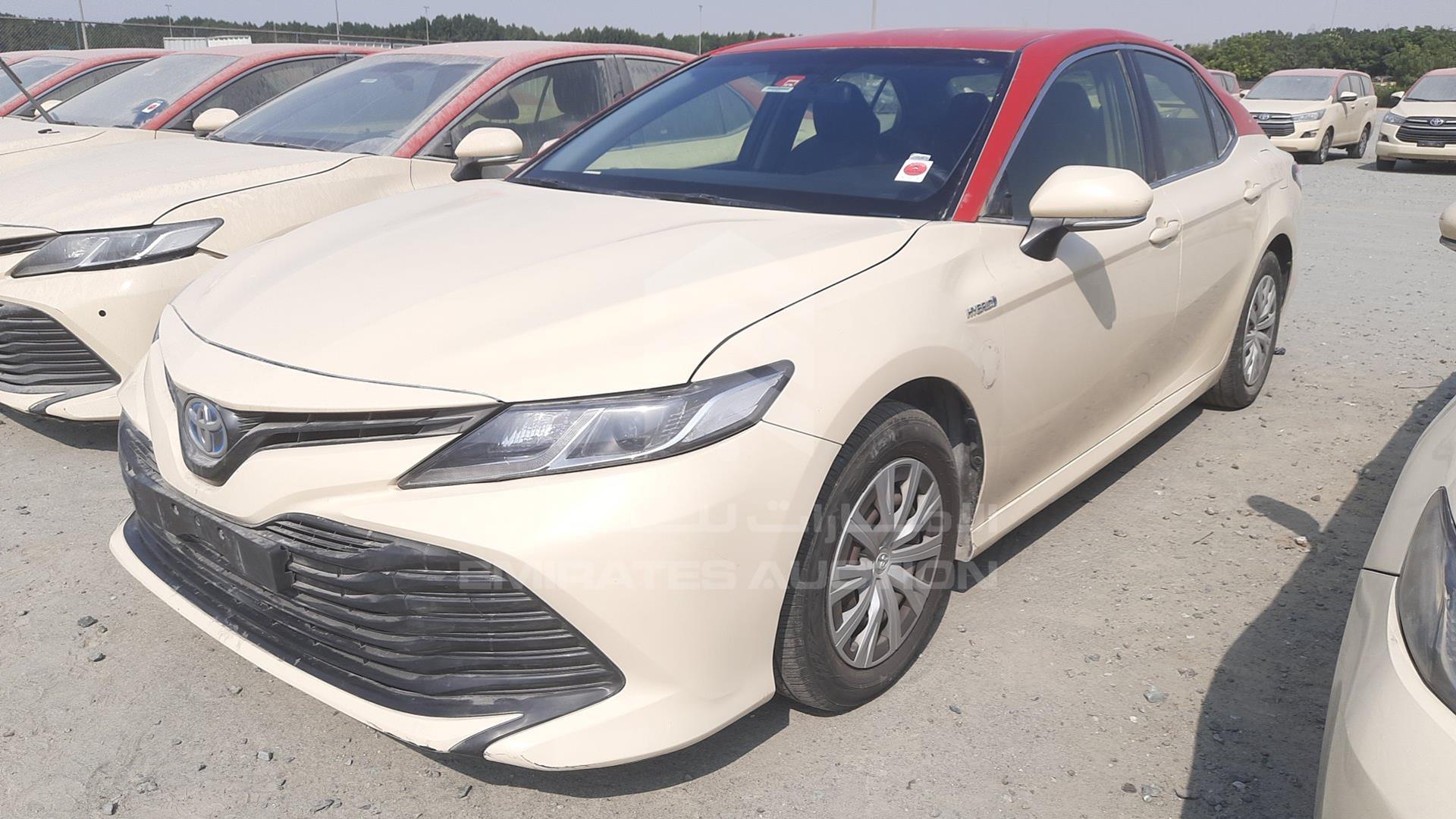 2019 TOYOTA CAMRY VIN: JTNB29HK8K3015209