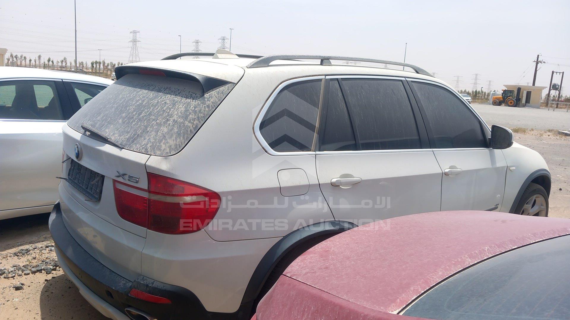 2009 BMW X5 VIN: WBAFE81019L096271