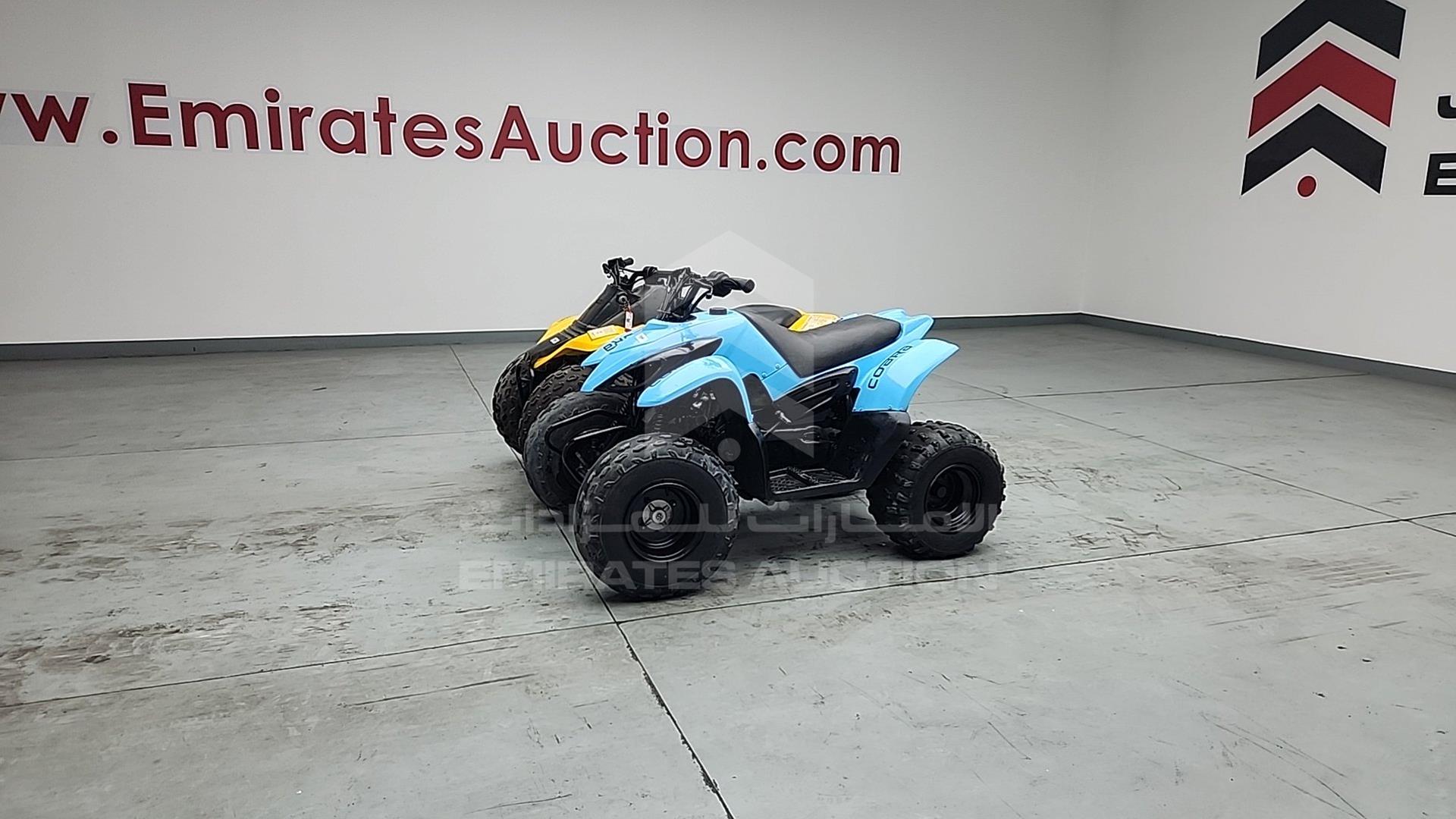 0 BUGGY --- VIN: M3A900276