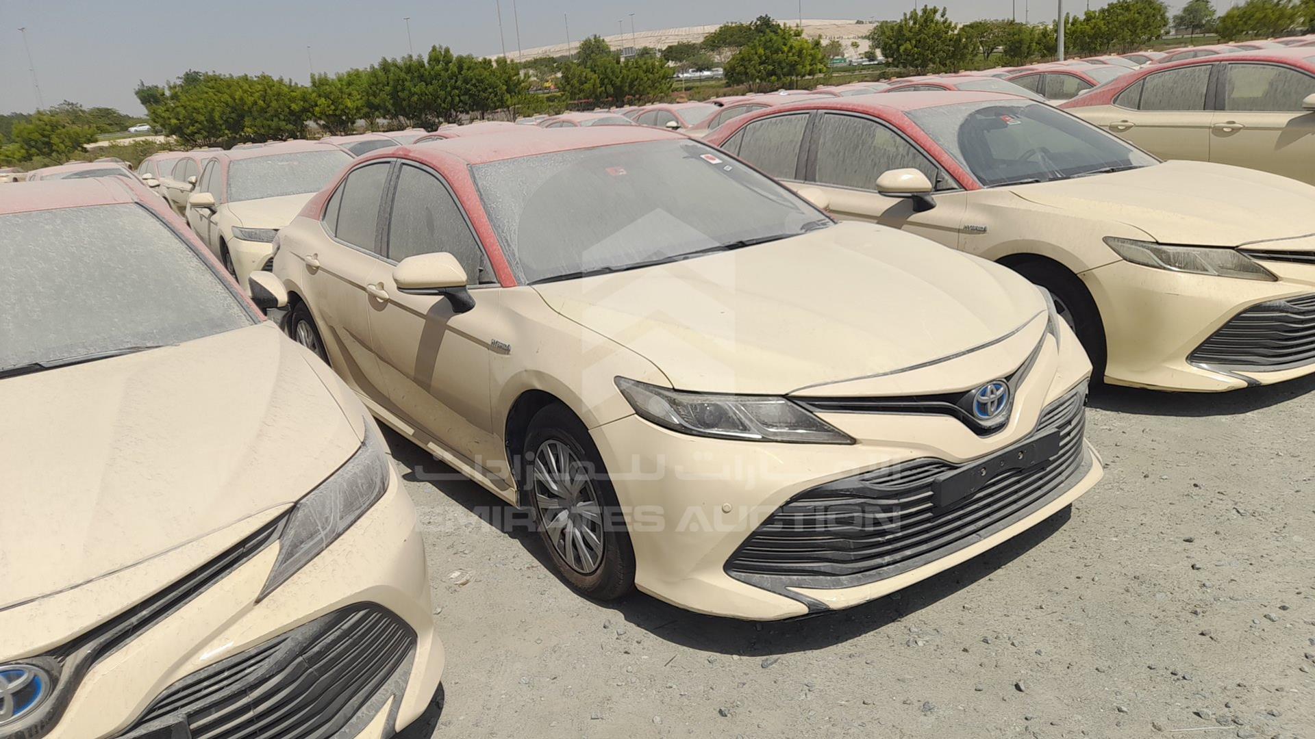 2019 TOYOTA CAMRY VIN: JTNB29HK9K3014716