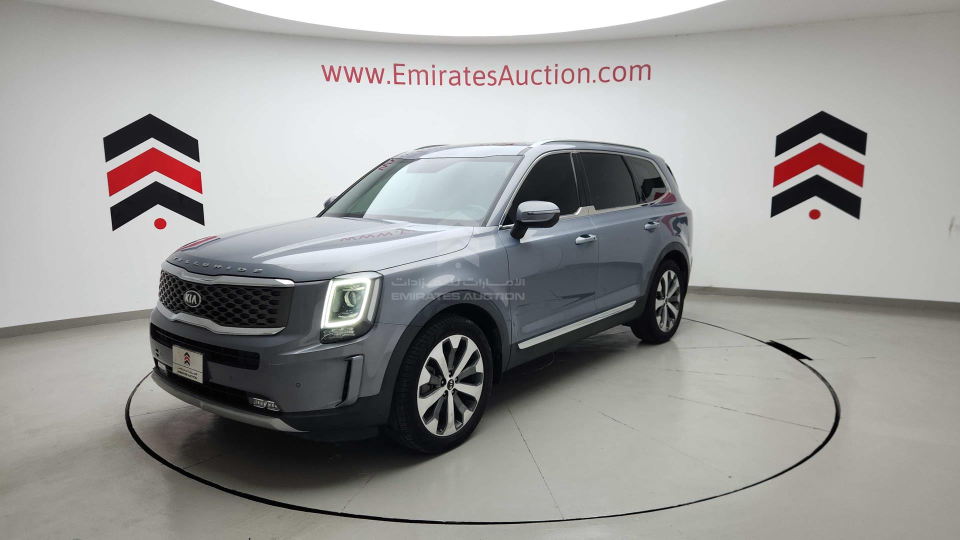2020 KIA TELLURIDE VIN: 5XXP381C2LG047840