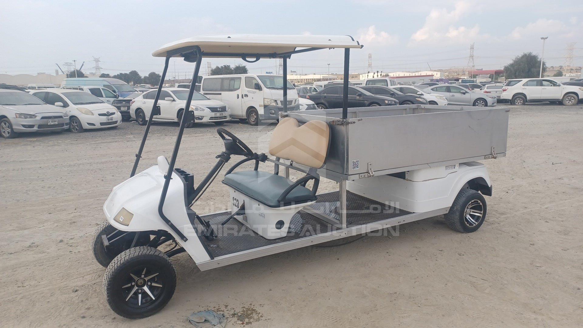 0 GOLF CART ELECTRIC VIN: P017C3802X501732