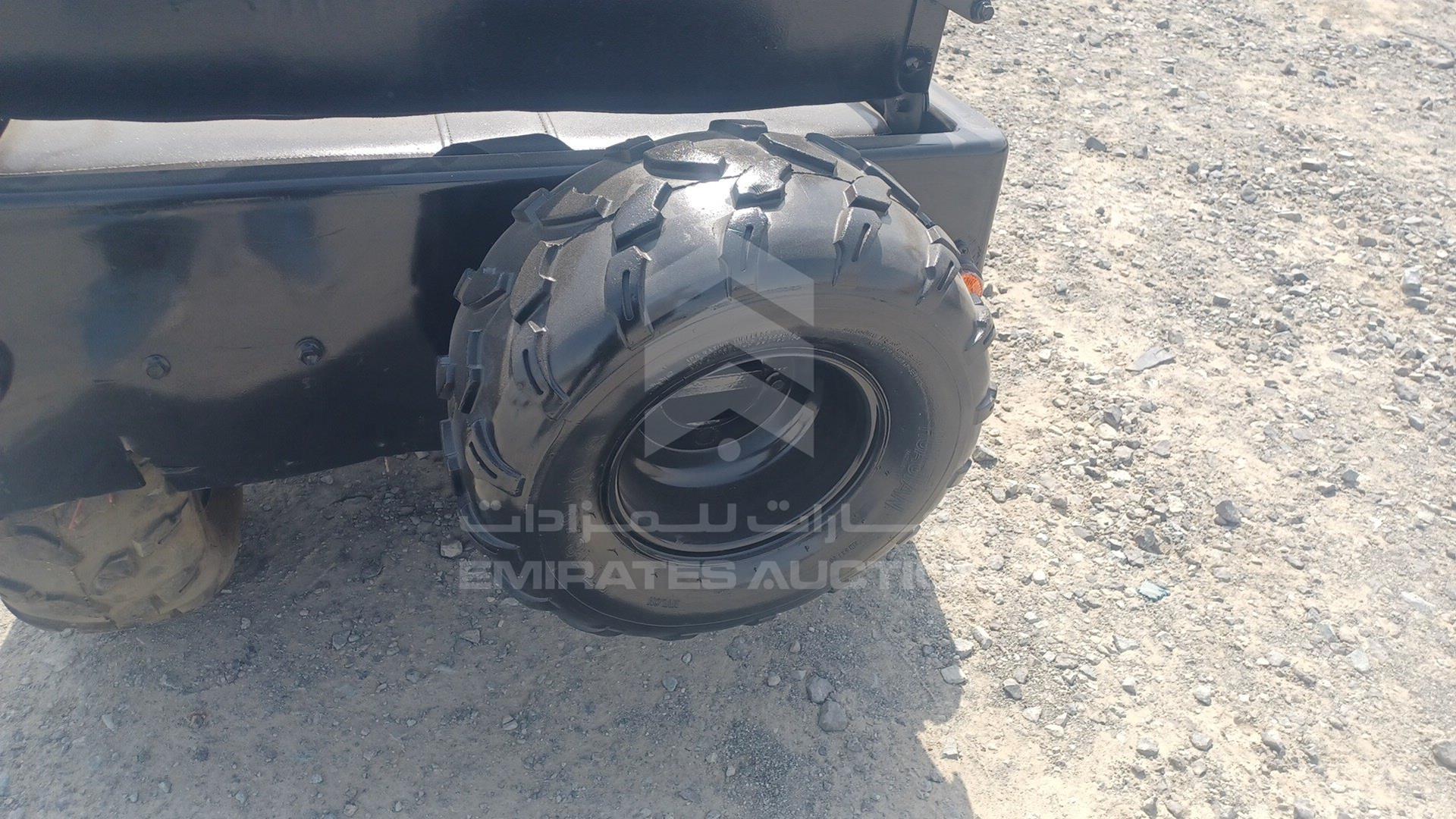 0 BUGGY --- VIN: ZB8304563CA251