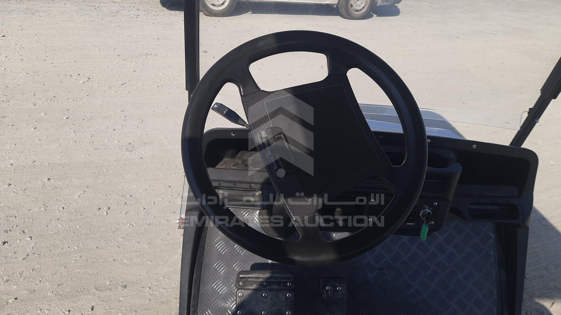 0 GOLF CART --- VIN: L4F2558K1H0110384