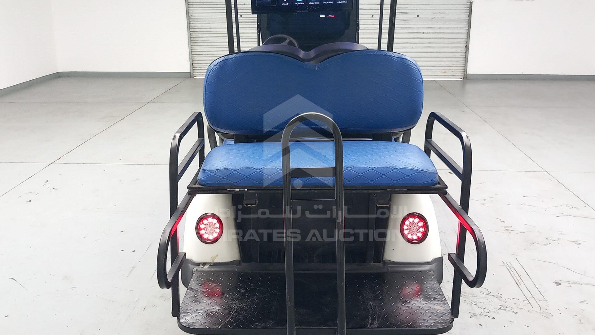 2021 GOLF CART ELECTRIC VIN: L4MCKDK47JA000207
