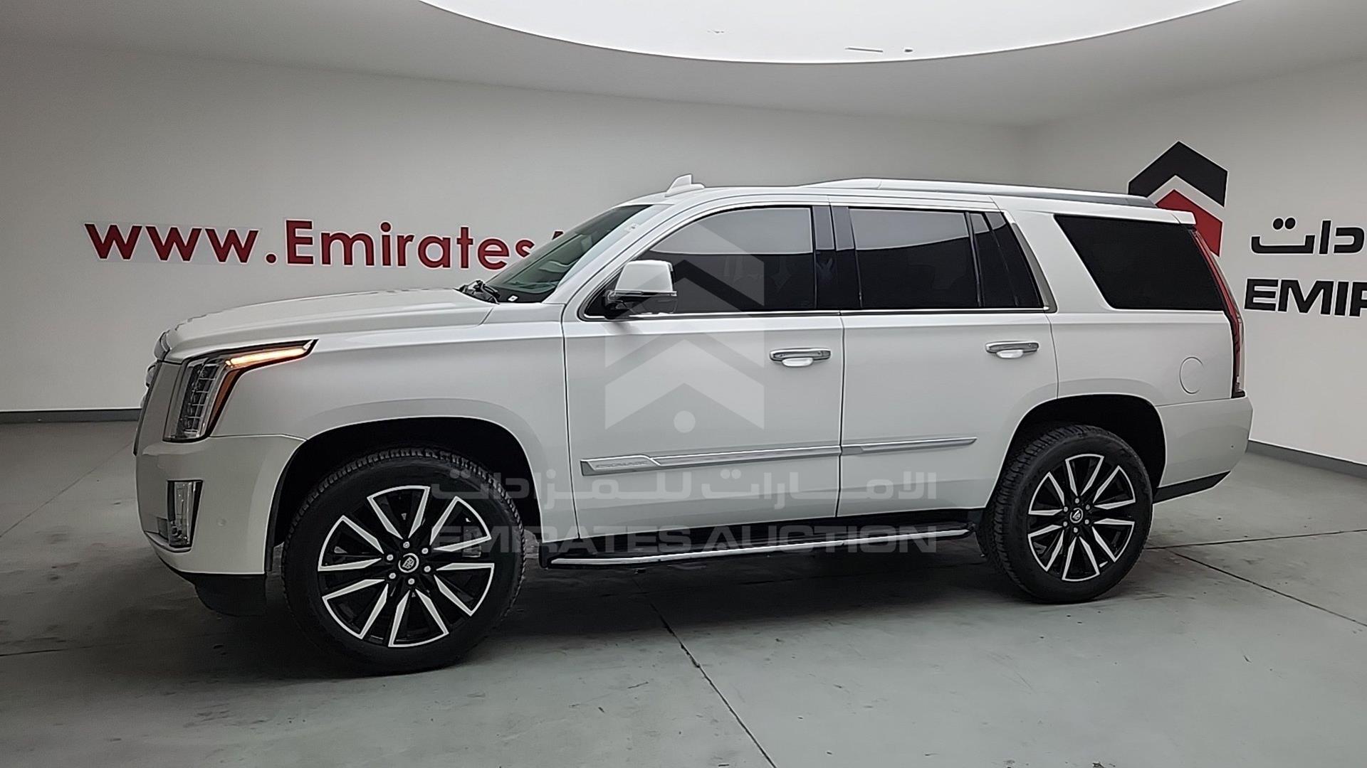 2020 CADILLAC ESCALADE VIN: 1GYS3BKJ7LR294489