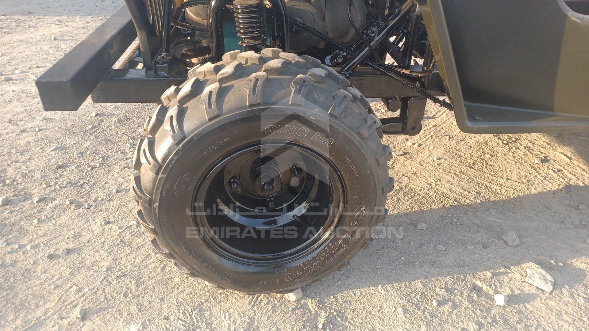 0 BUGGY --- VIN: L37AMKAC6GZ070015