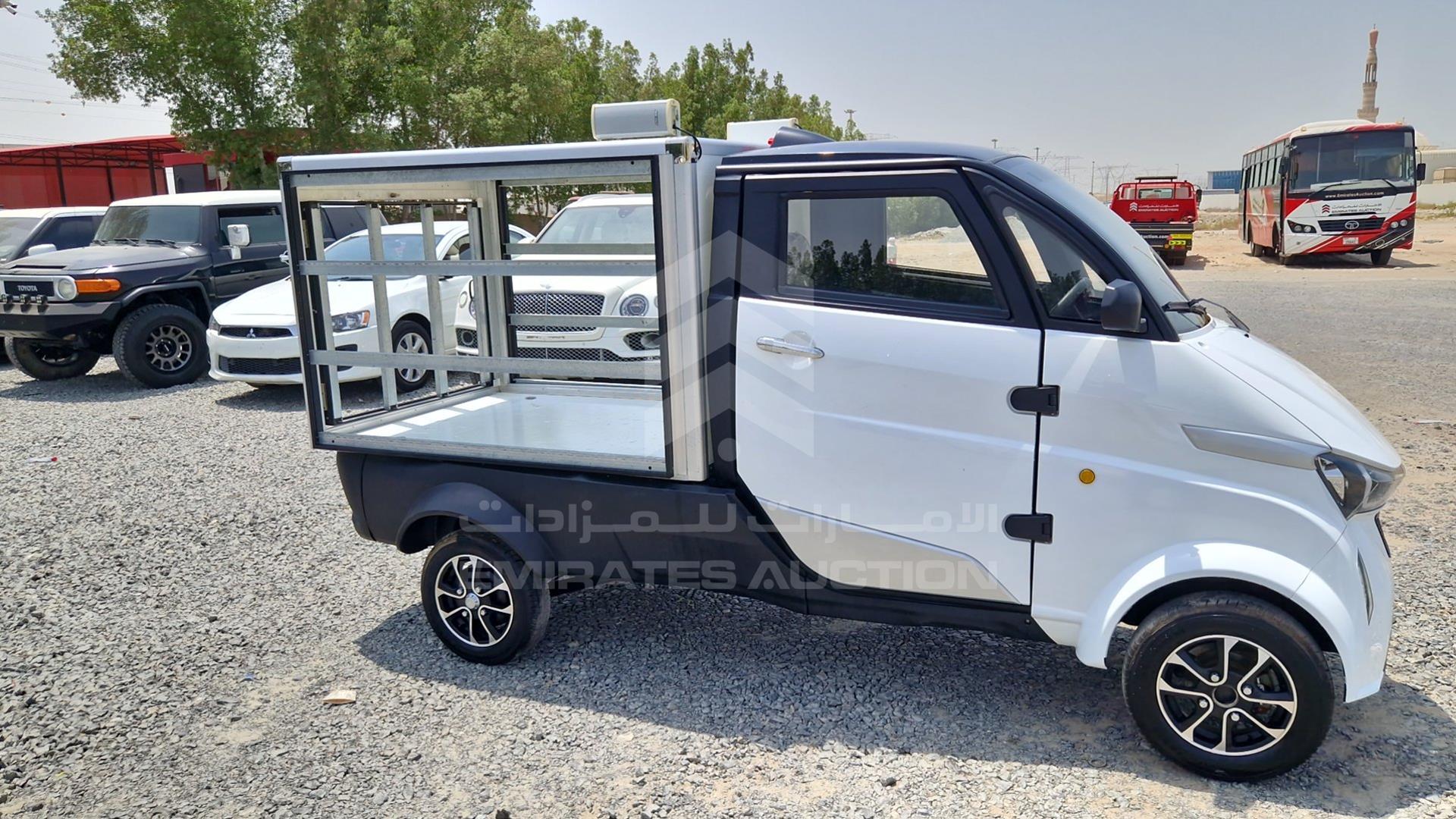 0 RUNHORSE ELECTRIC TRUCK VIN: R3W8AZKU9NA000030