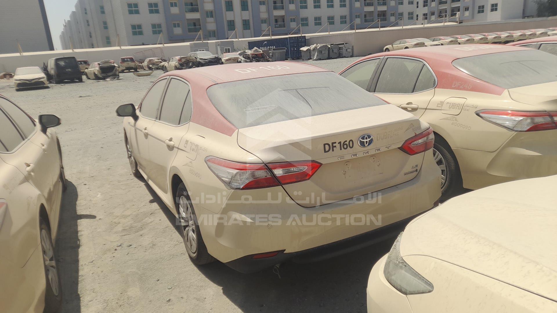 2019 TOYOTA CAMRY VIN: JTNB29HK5K3035546