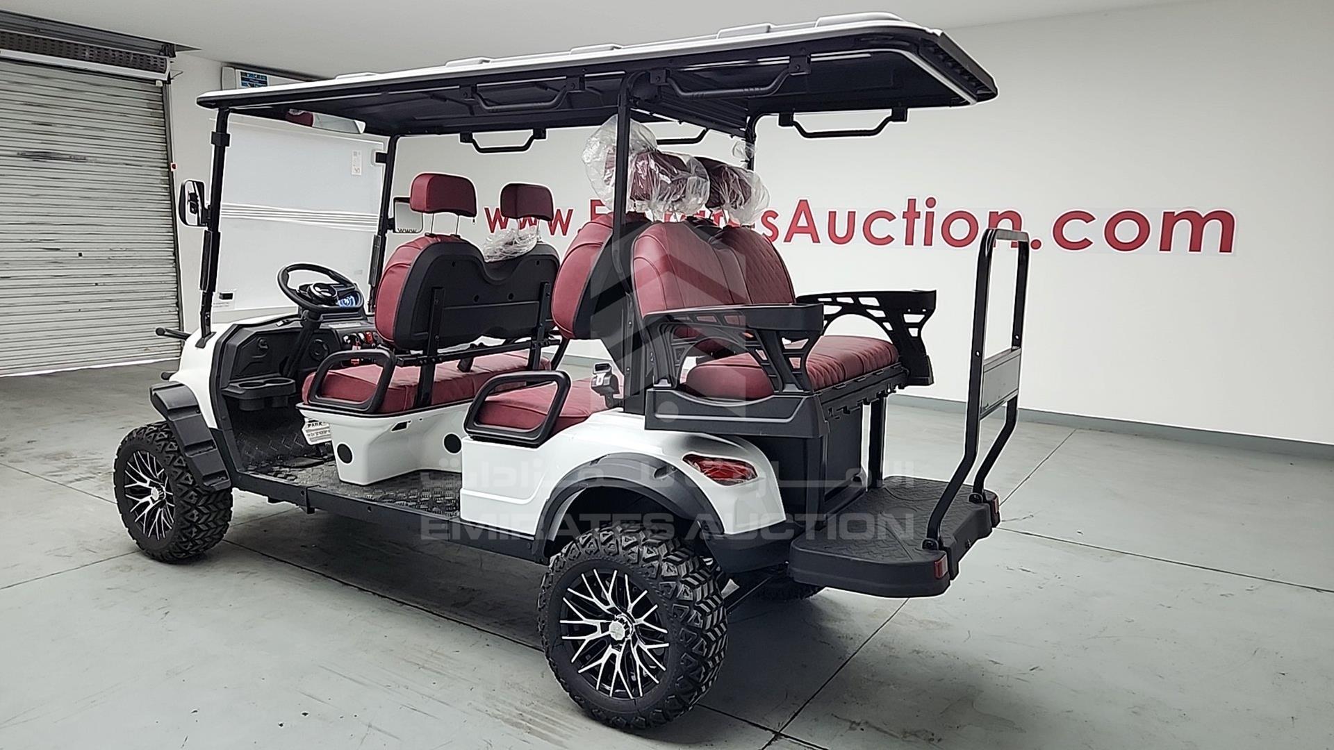 2025 GOLF CART ELECTRIC VIN: ZM24113