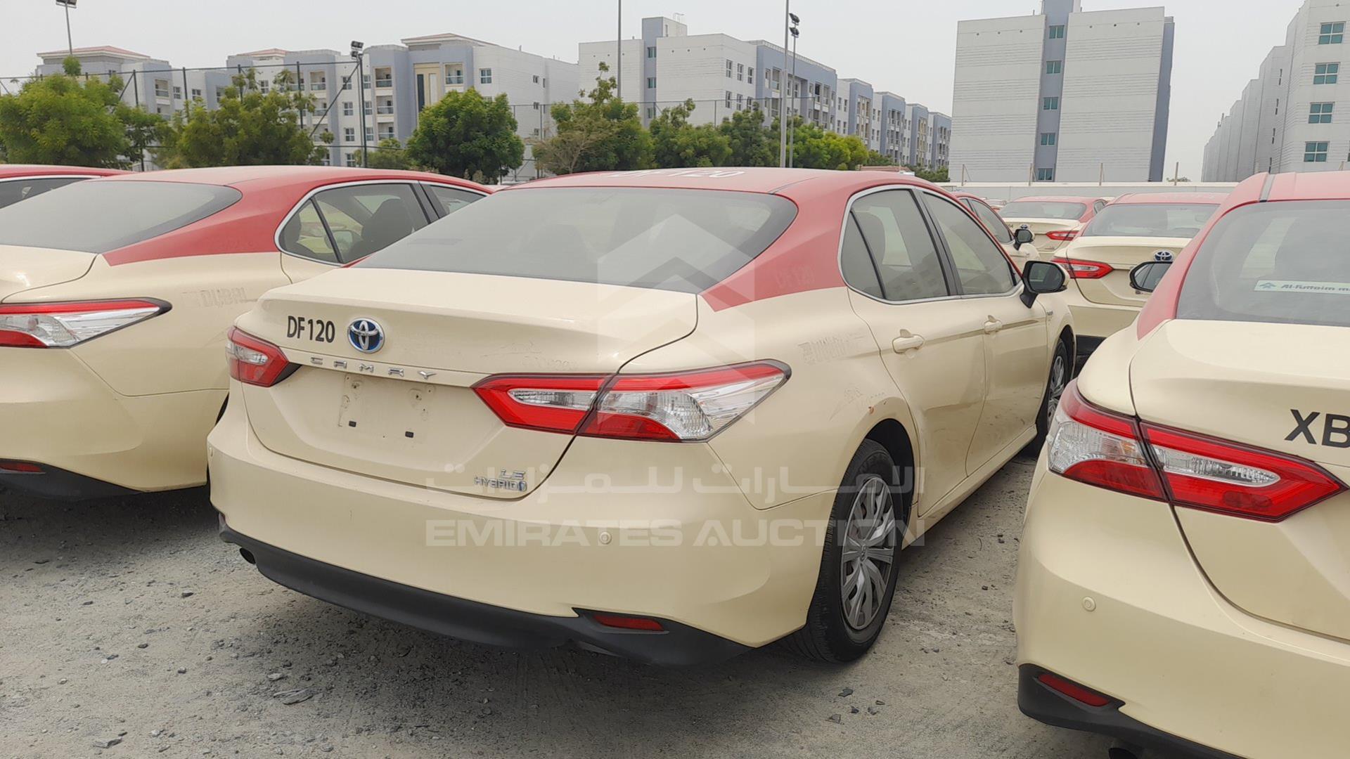 2019 TOYOTA CAMRY VIN: JTNB29HK2K3014492