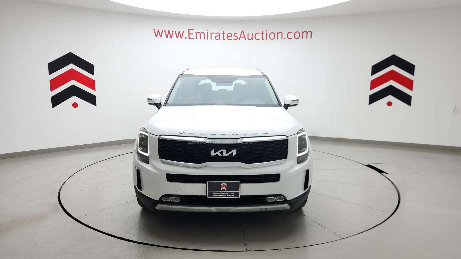 2022 KIA TELLURIDE VIN: 5XXP281C8NG281938