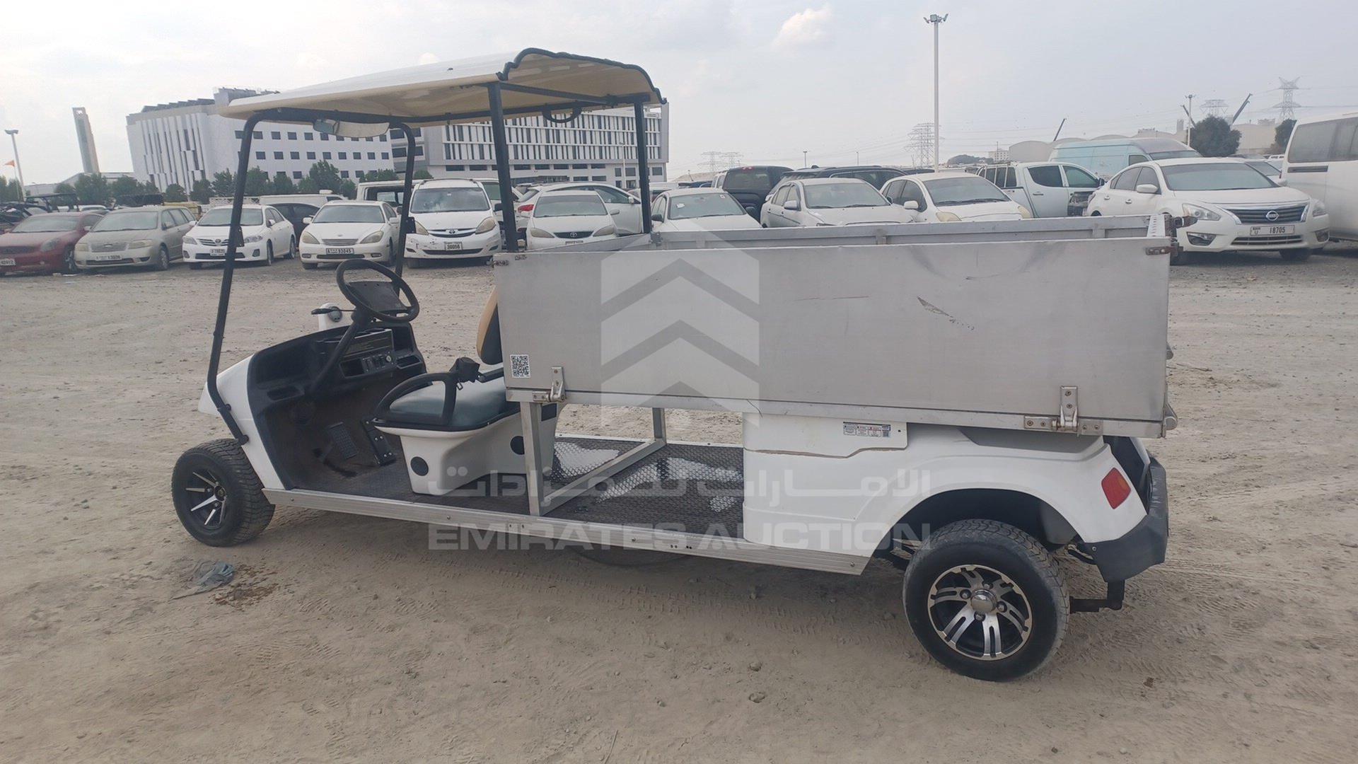 0 GOLF CART ELECTRIC VIN: P017C3802X501732