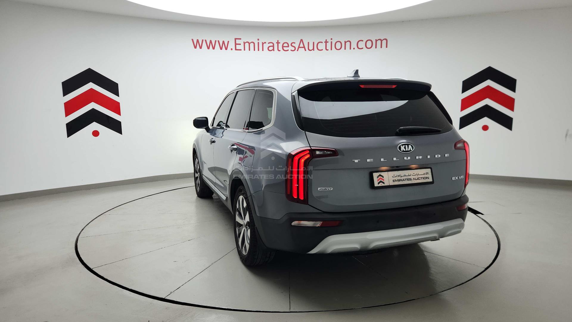 2020 KIA TELLURIDE VIN: 5XXP381C2LG047840