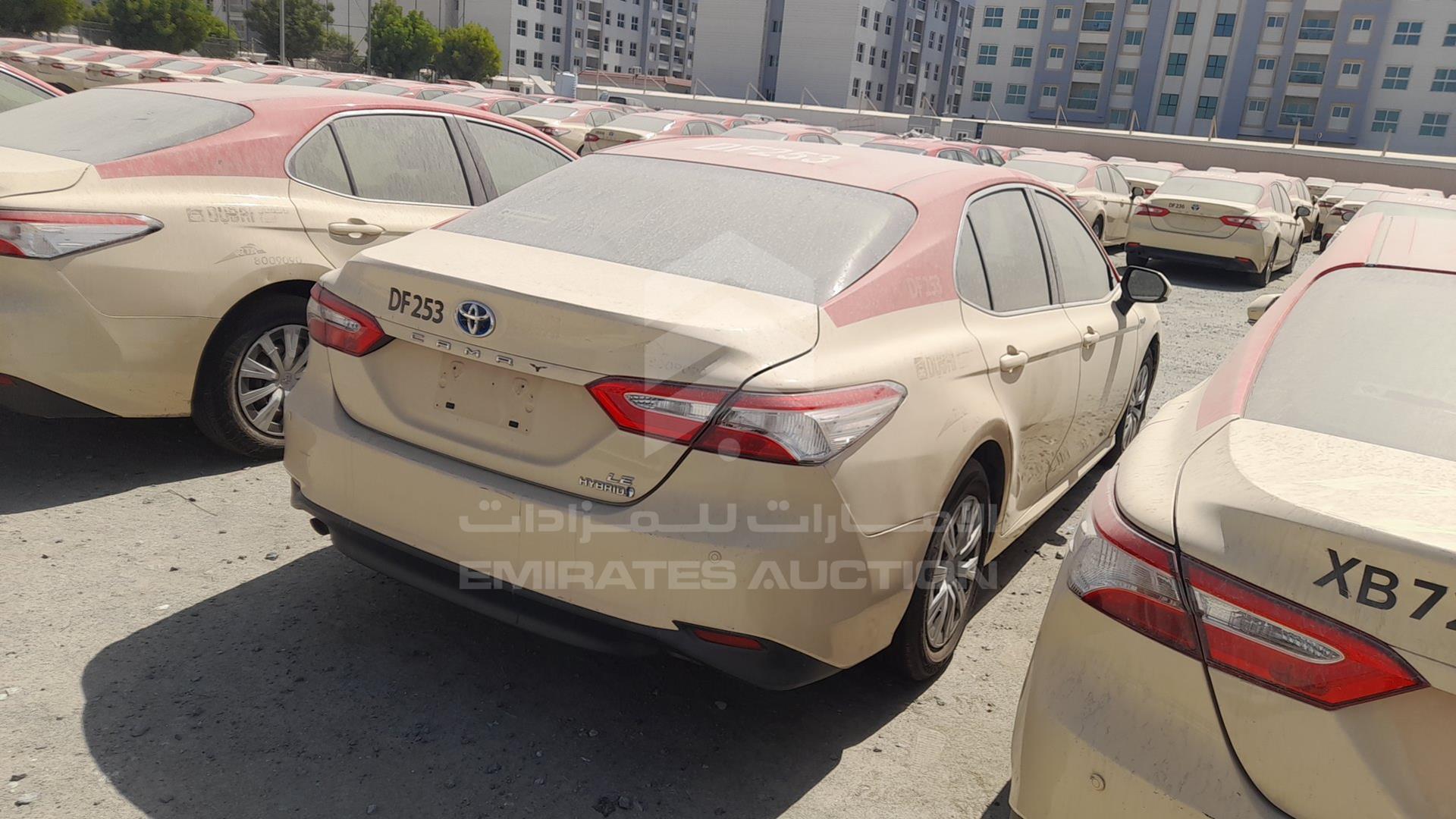 2019 TOYOTA CAMRY VIN: JTNB29HK9K3014716