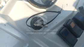 2010 Buggy + Trolly — Keys — Photo 3 — Thumbnail