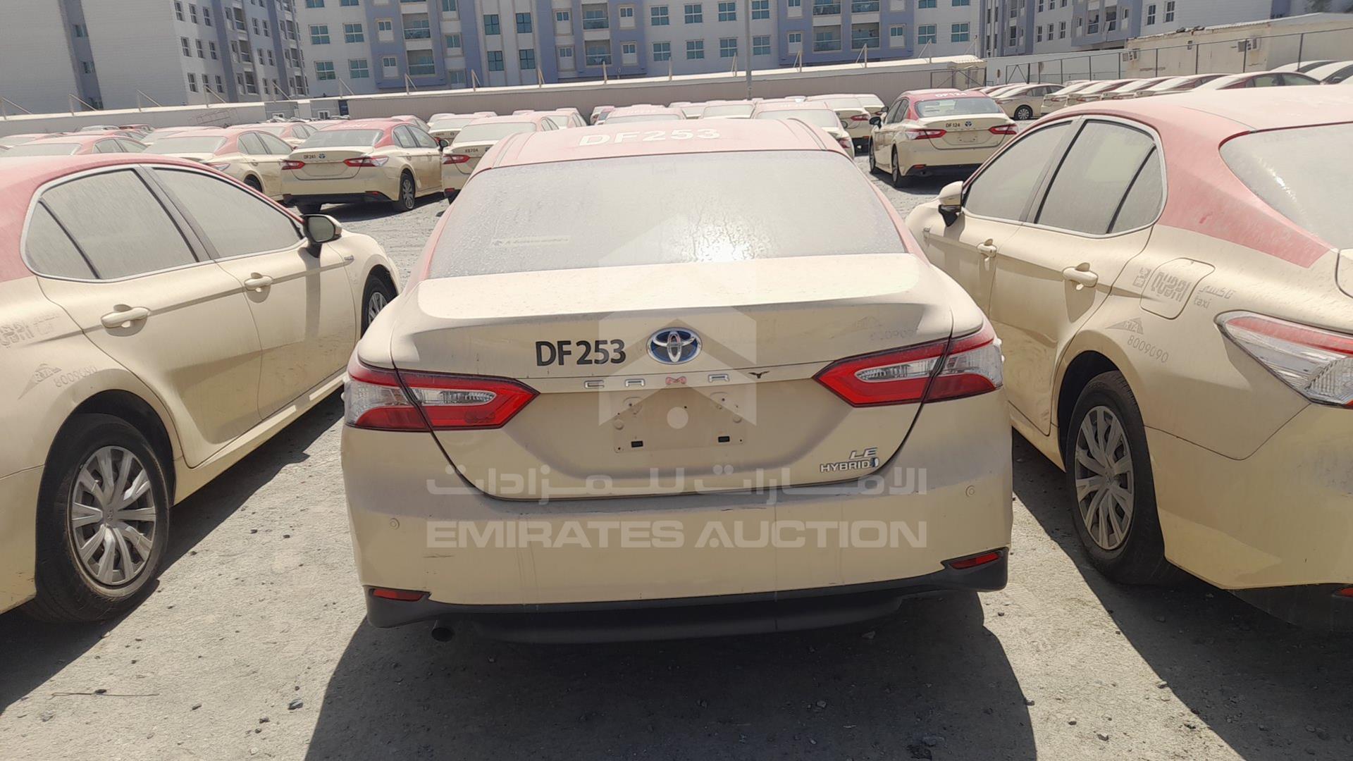 2019 TOYOTA CAMRY VIN: JTNB29HK9K3014716