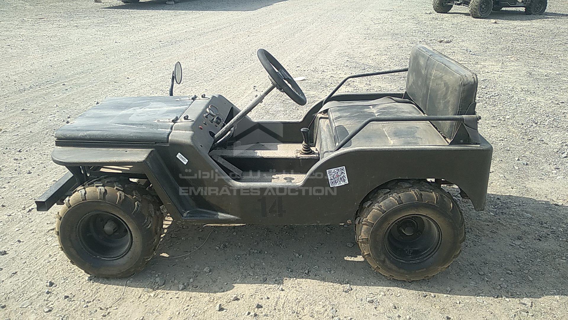 0 BUGGY --- VIN: Z42ABC63450631