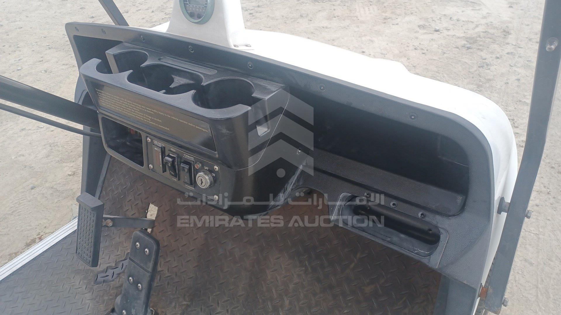 0 GOLF CART ELECTRIC VIN: P017C3802X501732