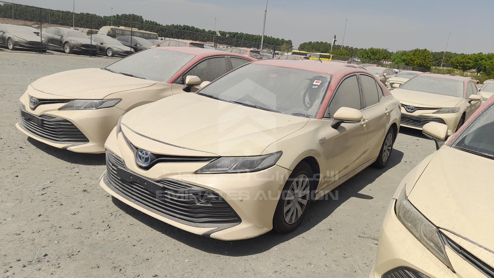2019 TOYOTA CAMRY VIN: JTNB29HK9K3014716