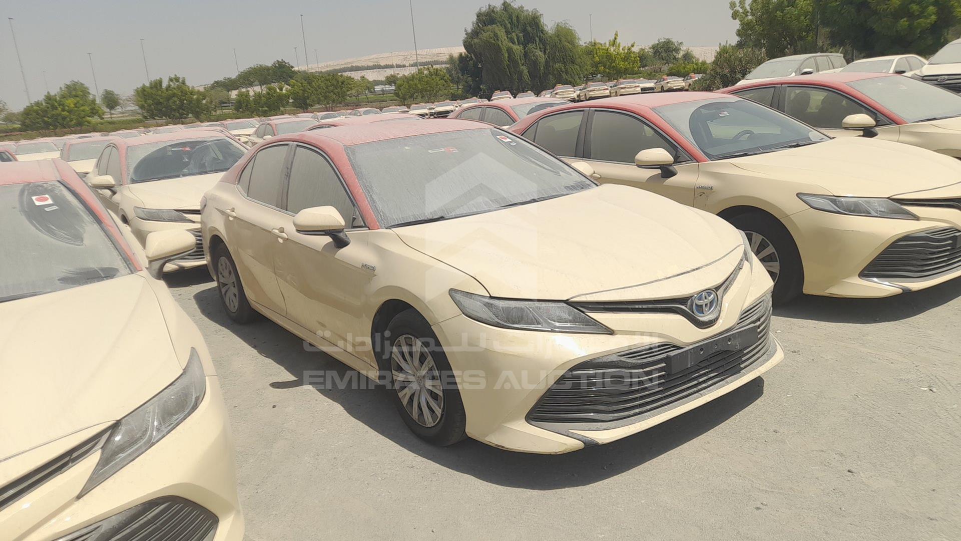 2019 TOYOTA CAMRY VIN: JTNB29HK5K3035546