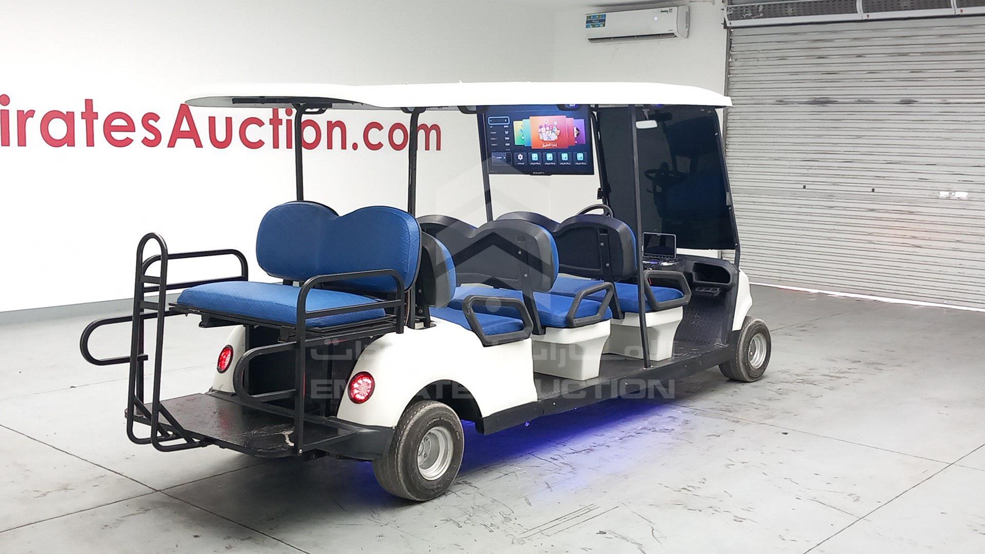 2021 GOLF CART ELECTRIC VIN: L4MCKDK47JA000207