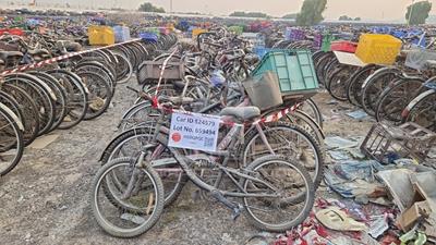  100 Bicycles