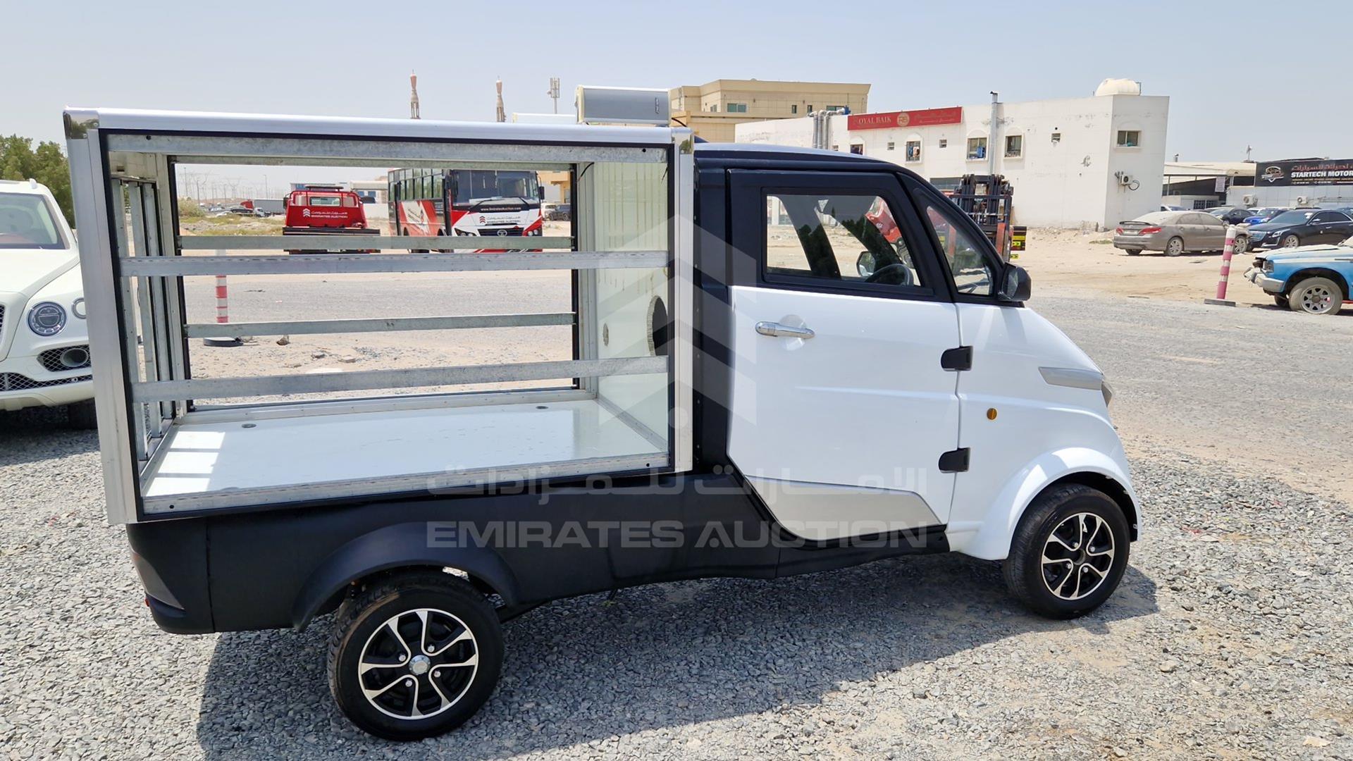 0 RUNHORSE ELECTRIC TRUCK VIN: R3W8AZKU9NA000030