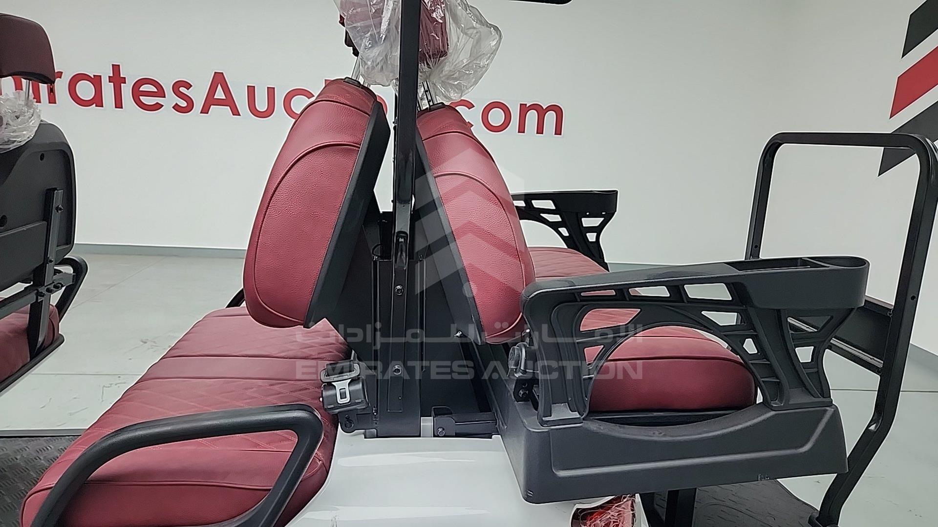 2025 GOLF CART ELECTRIC VIN: ZM24113