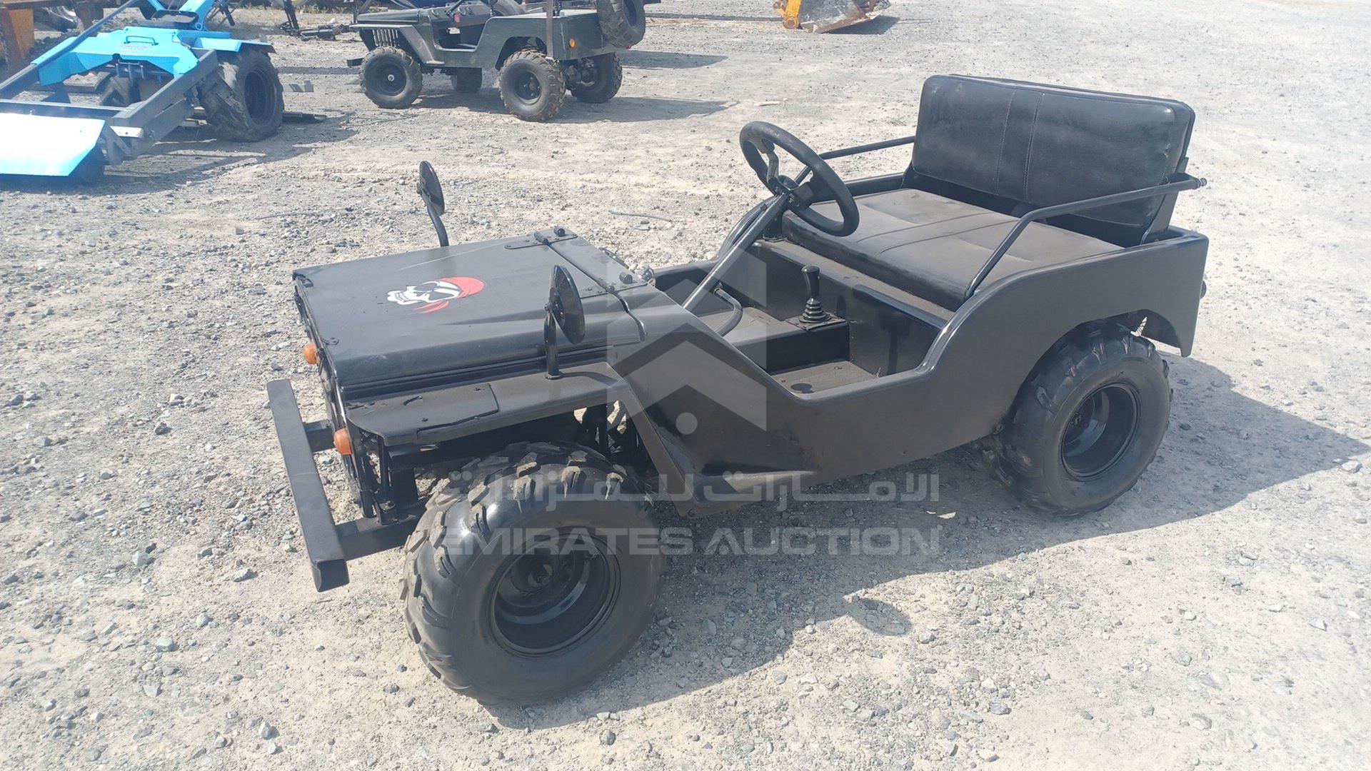 0 BUGGY --- VIN: ZB8304563CA251