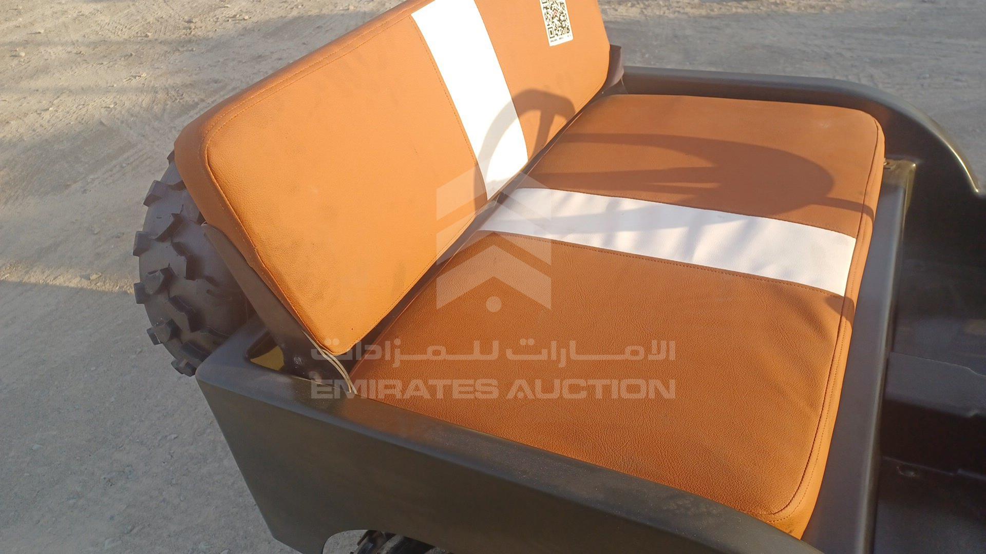 0 BUGGY --- VIN: L37AMKAC6GZ070015