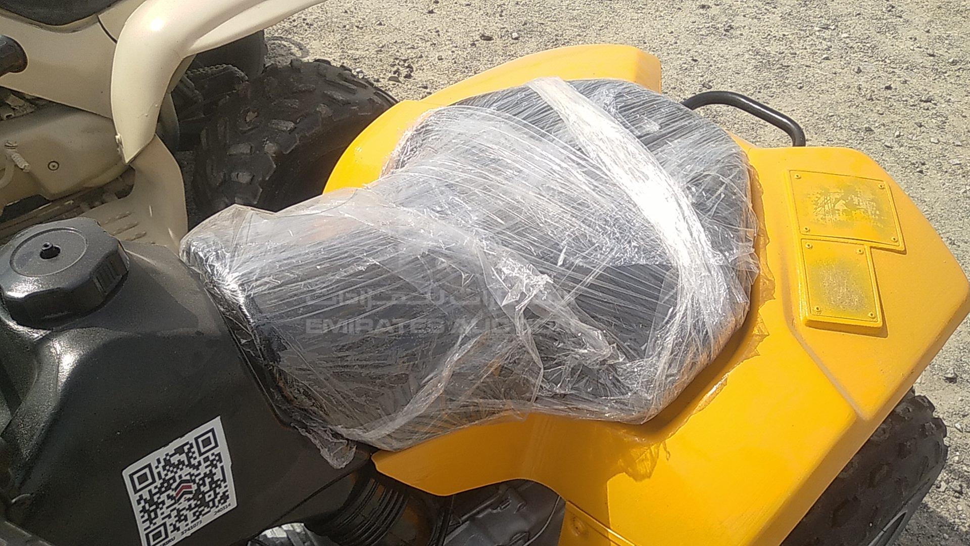 0 BUGGY --- VIN: C113541161