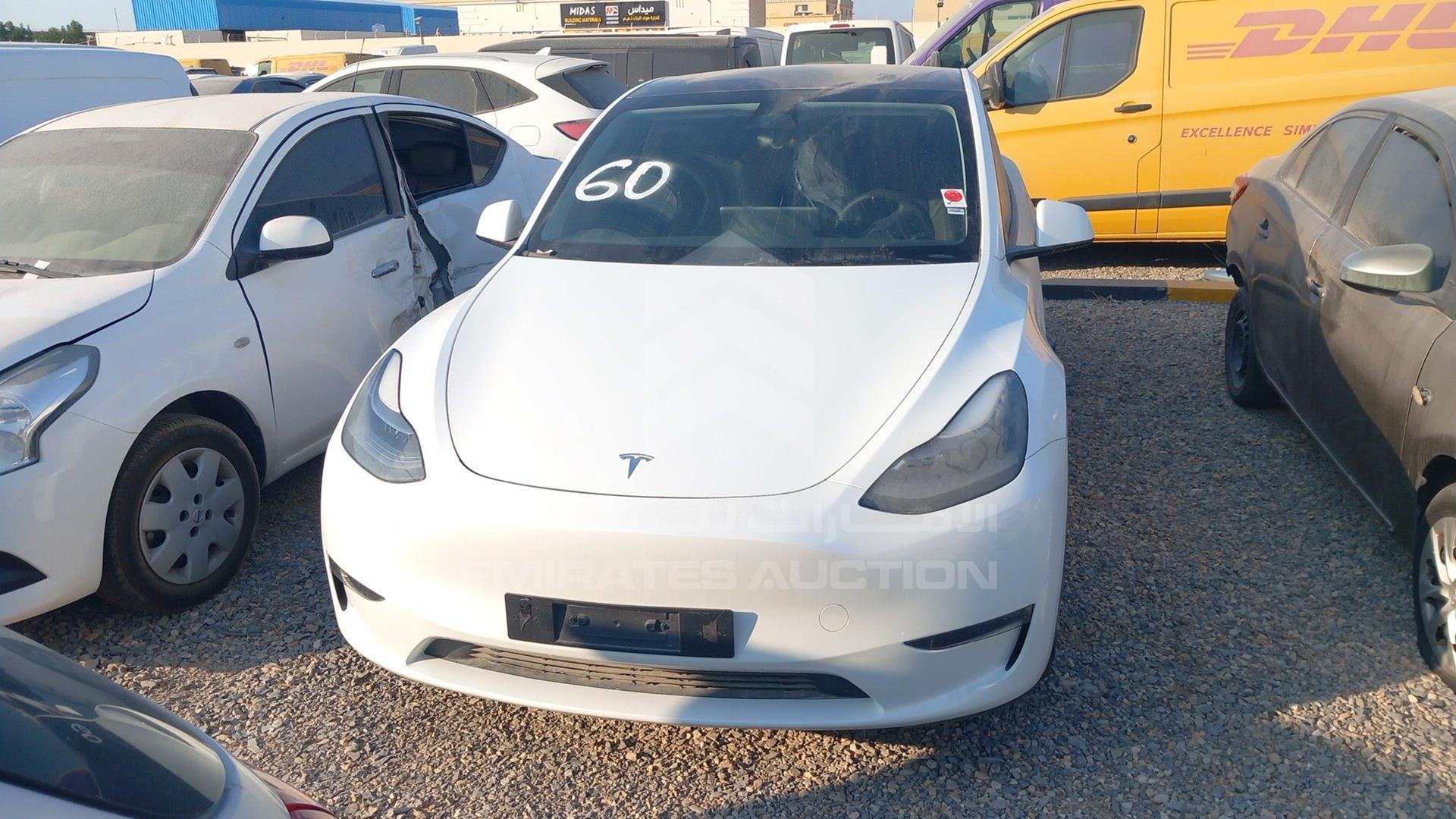2023 TESLA MODEL Y VIN: XP7YGCEL1PB226187