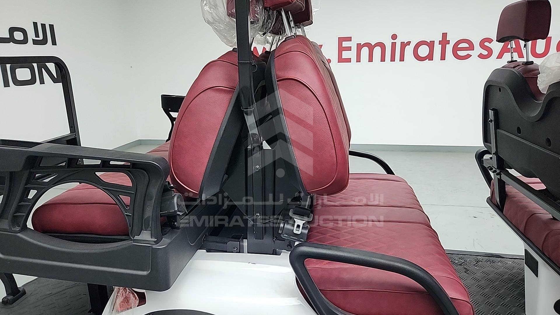 2025 GOLF CART ELECTRIC VIN: ZM24113