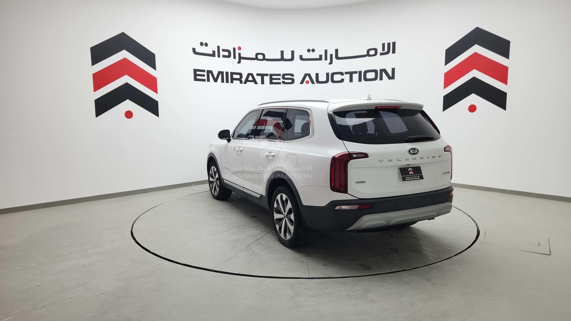 2020 KIA TELLURIDE VIN: 5XXP281CXLG081463